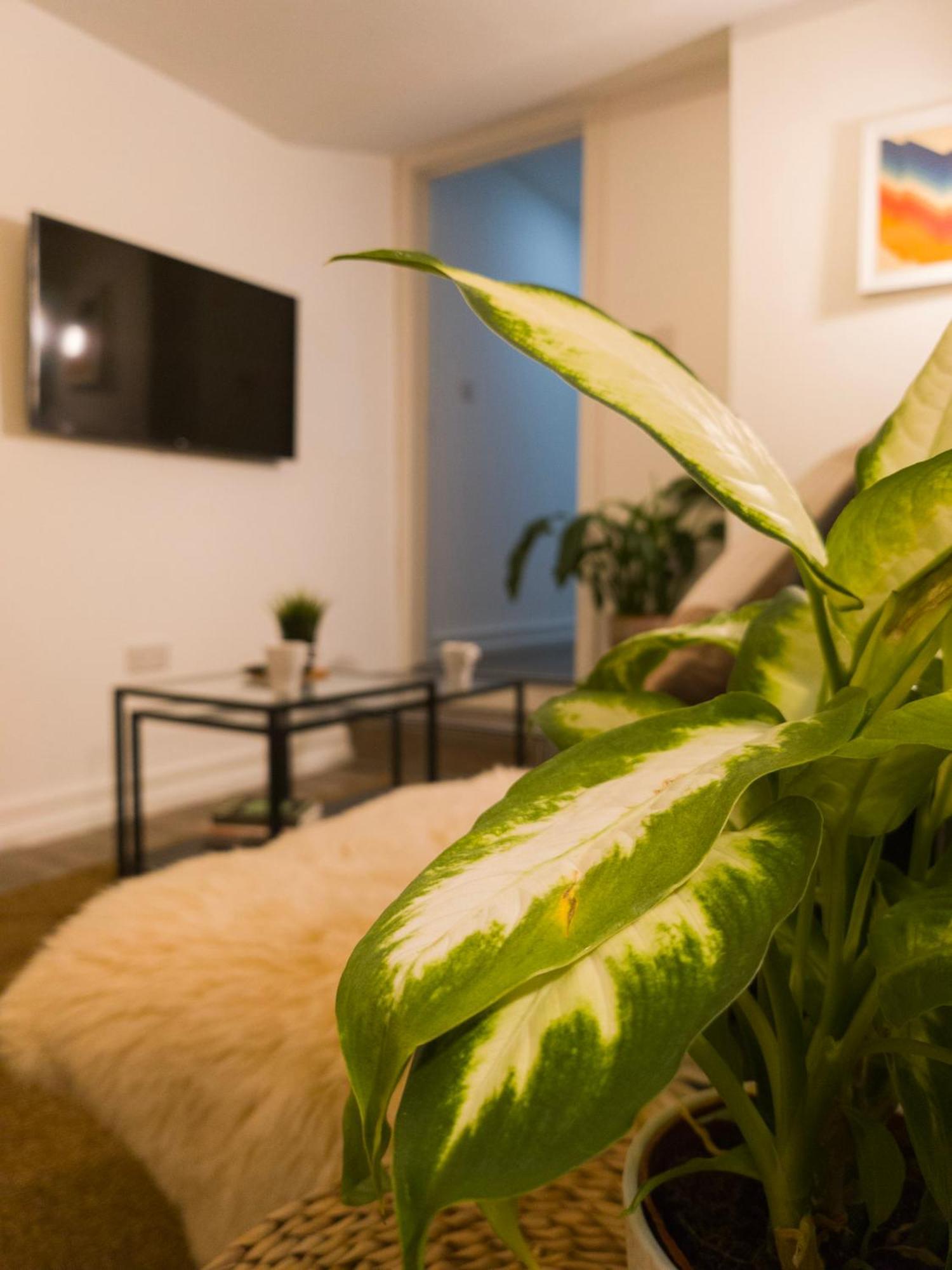 Plenty Of Parking Available; 3 Bedroom Apartment By Property Promise Cardiff Kültér fotó
